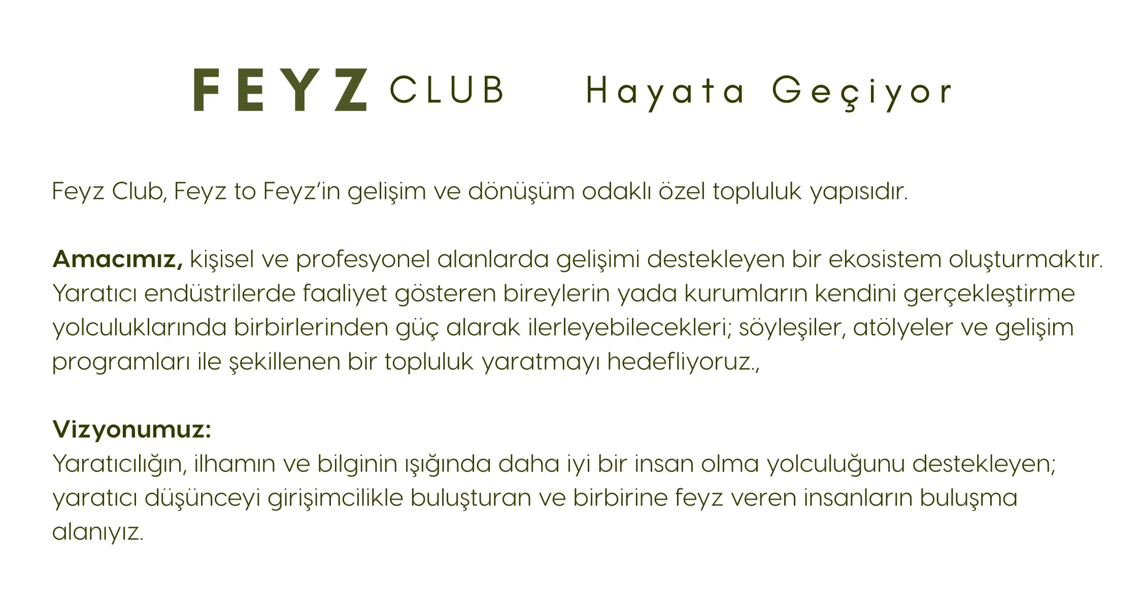 Ana Sayfa 49 feyzsayfası13